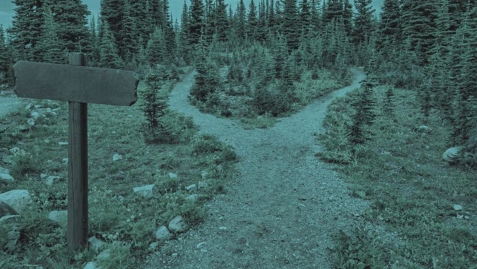 构建网络爬虫与使用数据提取工具