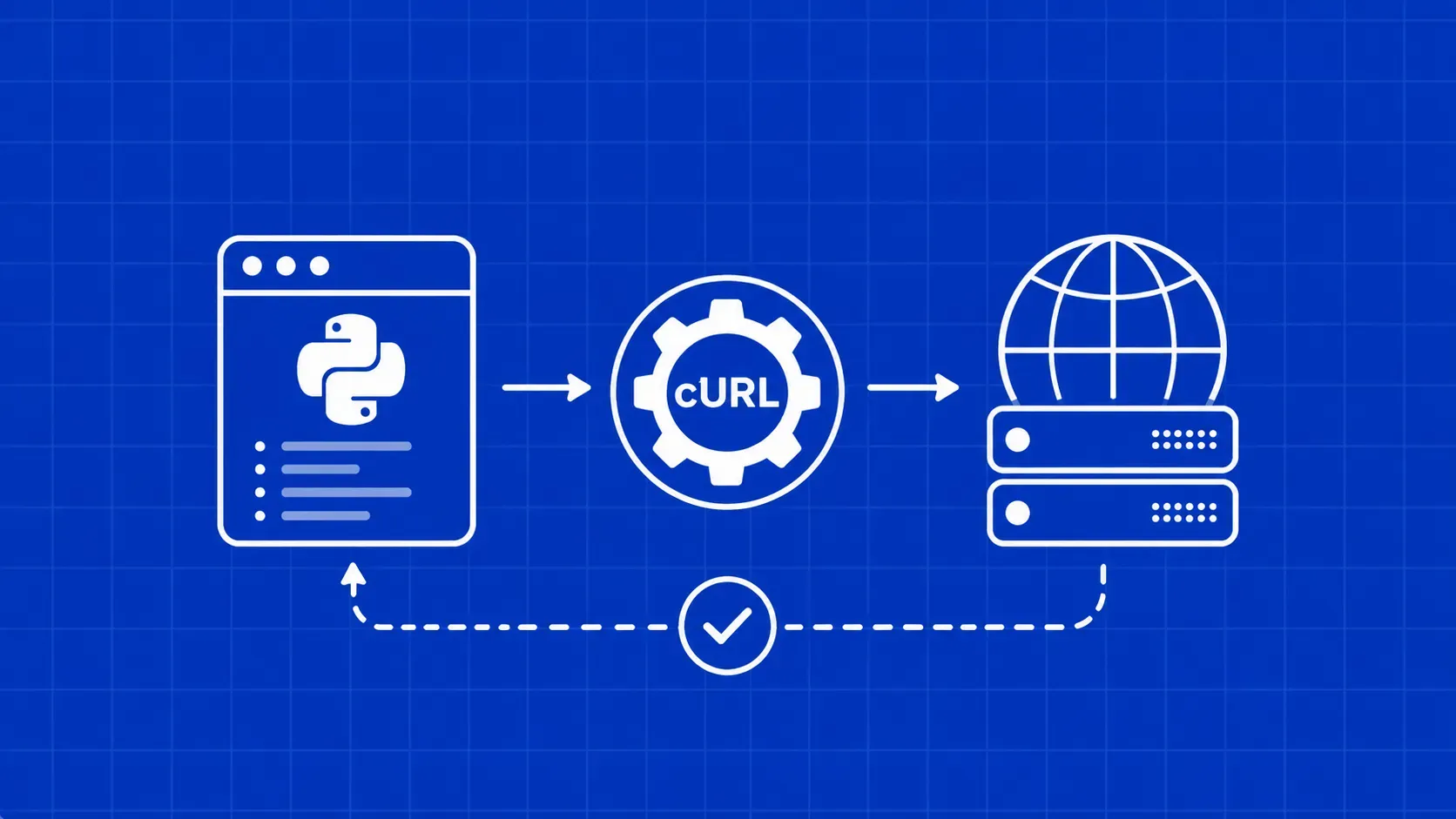 如何在 2026 年将 cURL 与 Python 结合使用