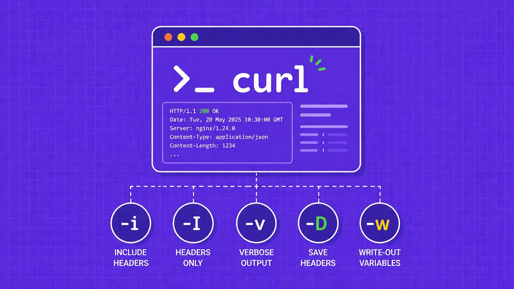 cURL 中的 HTTP 响应头：每个标记、技巧和脚本配方