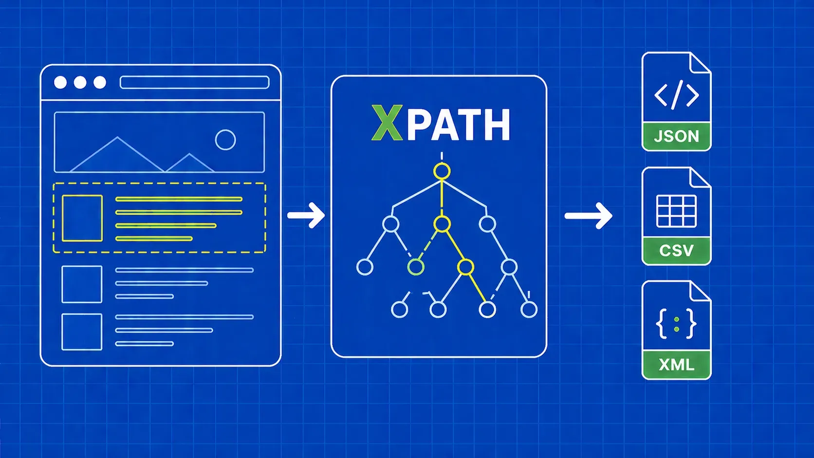 XPath Web Scraping：附 Python 示例的实践指南